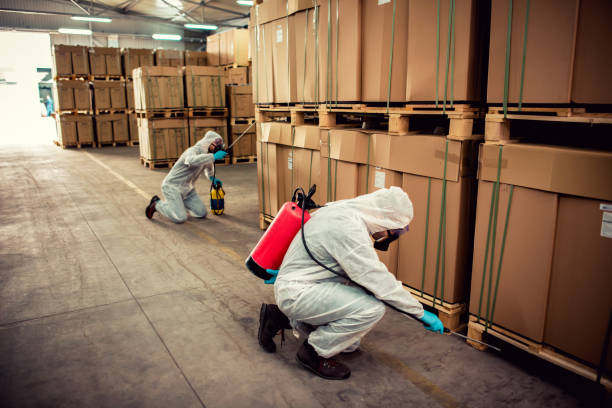 Wildlife Control Services in Spring City, PA