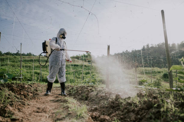 Best Ant Control Services  in Spring City, PA