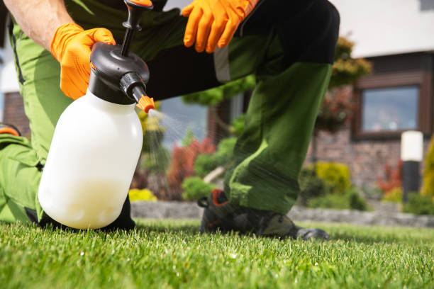 Best Cockroach Control Services  in Spring City, PA