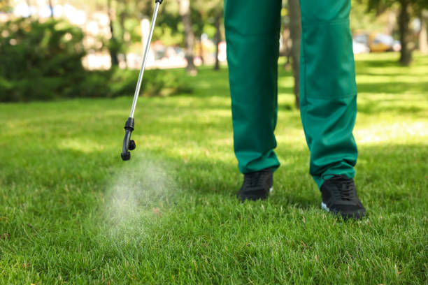Best Pest Removal Services  in Spring City, PA