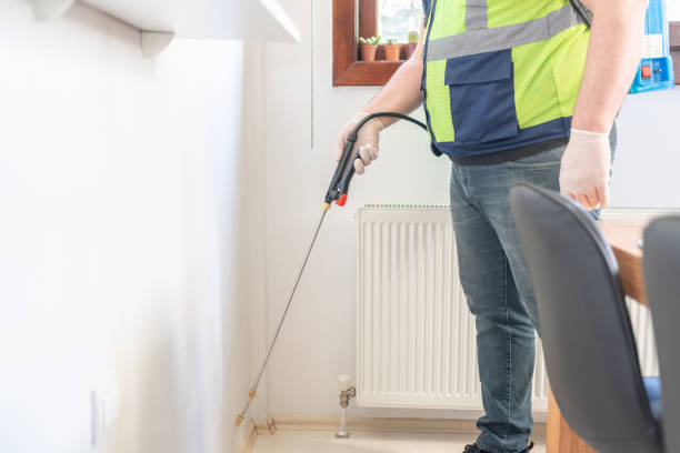 Best Affordable Pest Control Services  in Spring City, PA