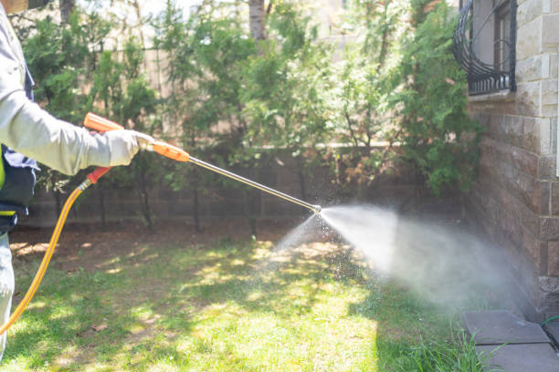 Best Affordable Pest Control Services  in Spring City, PA