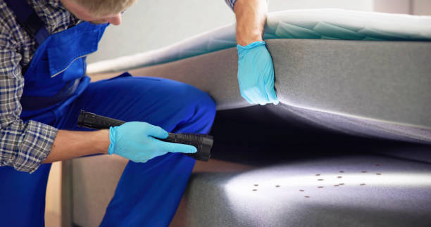 Pest Control for Restaurants in Spring City, PA
