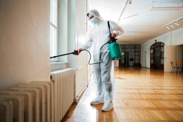 Wasp Removal Services in Spring City, PA